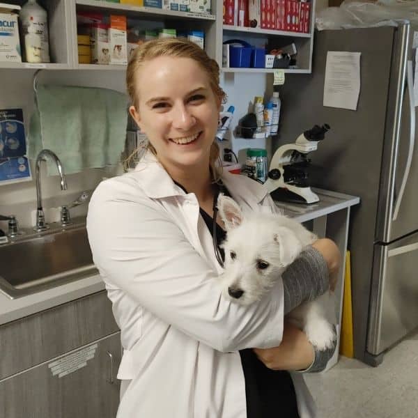 Dr. Allison Wines