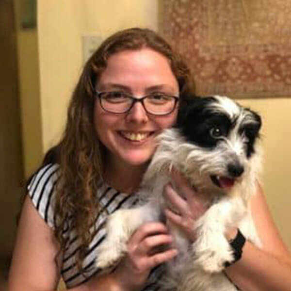 Vet doing a wellness exam on a little dog.