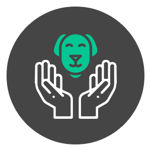 Sr-pet-wellness-Icon